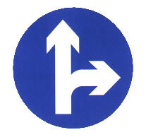 直行和向右转弯标志