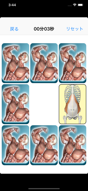 筋肉暗記iPhone版