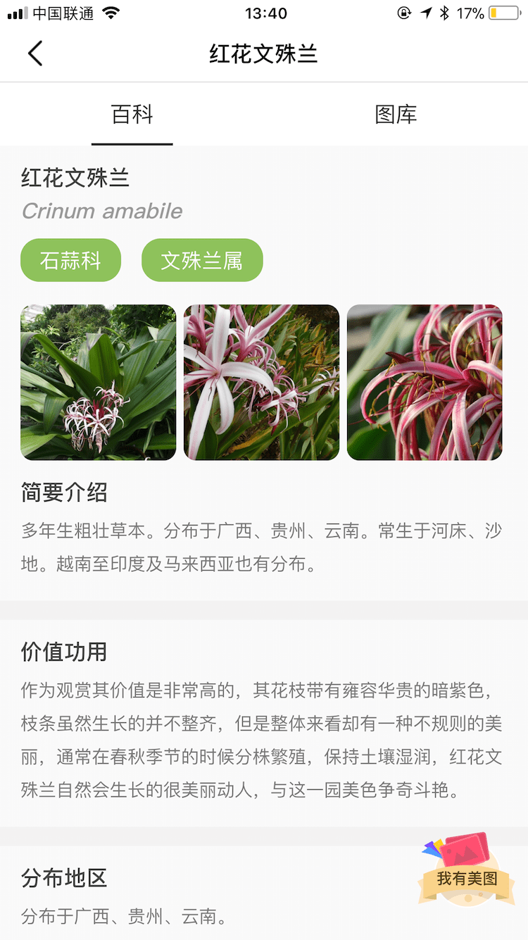 花伴侣