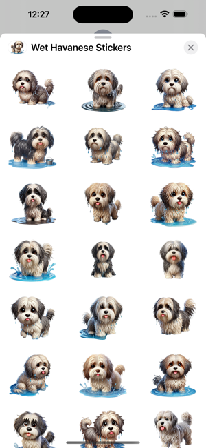 Wet Havanese StickersiPhone版