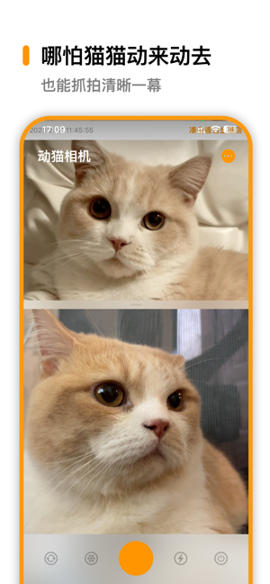 动猫相机｜宠物相册表情包提醒记账‬iPhone版