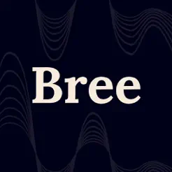 人工智能笔记员，总结: Bree AIiPhone版