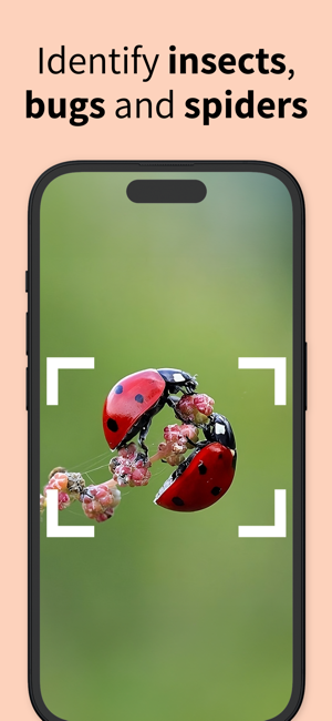 Insect Identifier Bug ID²iPhone版