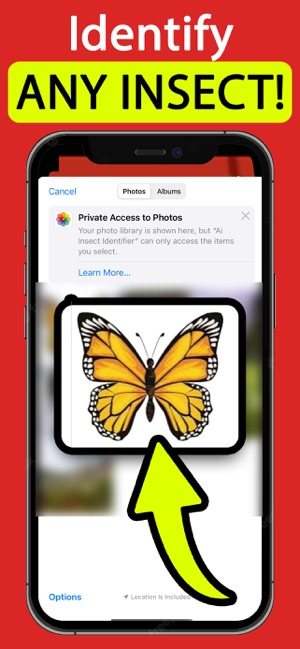 Insect Identifier AI ScanneriPhone版