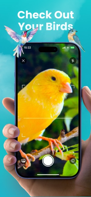 Birdie: AI Bird IdentifieriPhone版