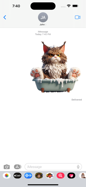 Maine Coon Cat Bath StickersiPhone版