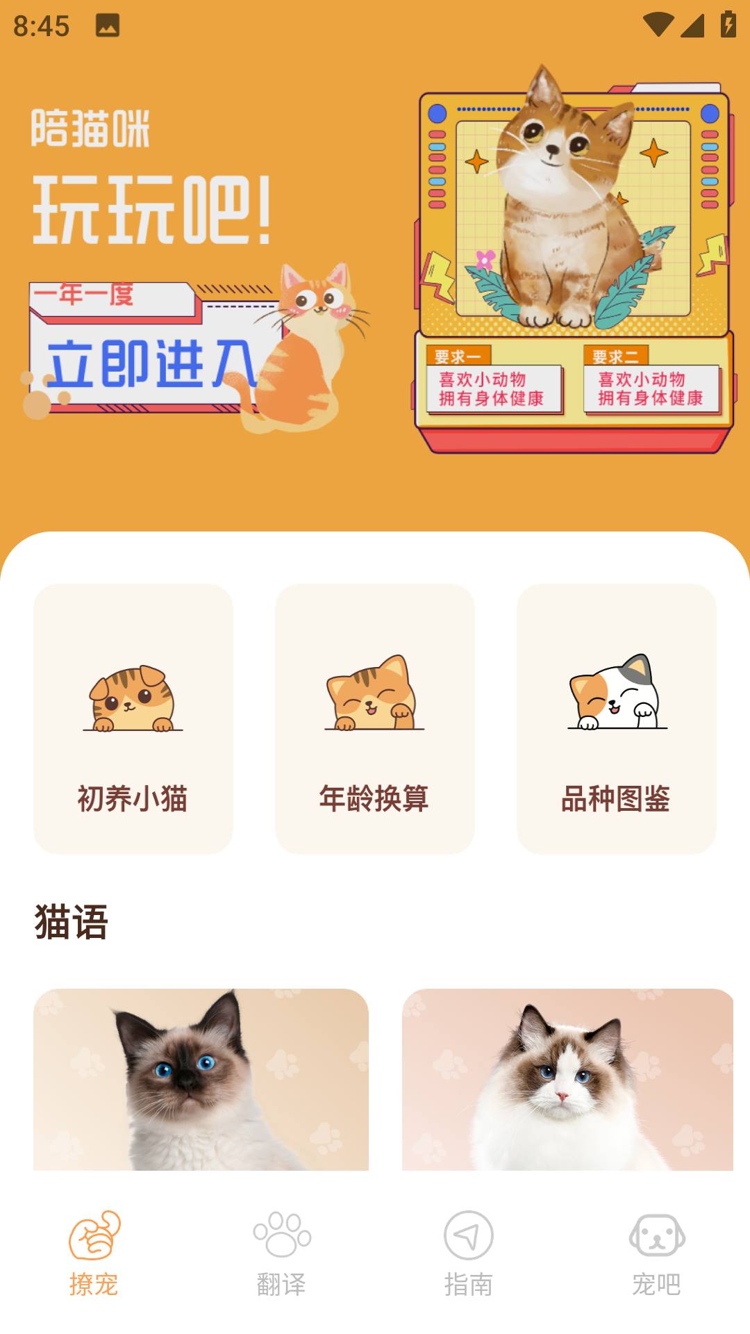 Peppycat貓語翻譯器