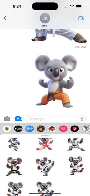 Kung Fu Koala StickersiPhone版