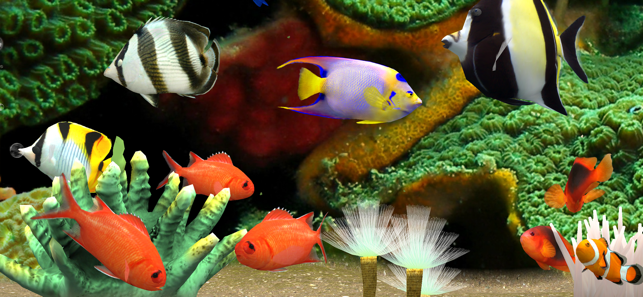 MyReef3DAquarium3iPhone版