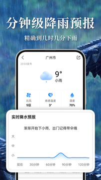 準雨天氣