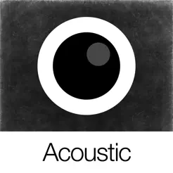 AnalogAcoustic(模拟声学)iPhone版