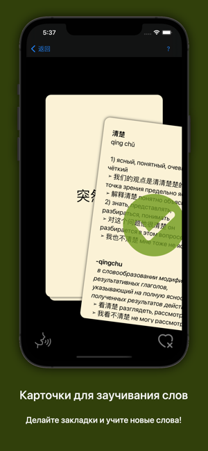 俄漢詞典大БКРС|БРуКС8in1俄漢俄詞典iPhone版