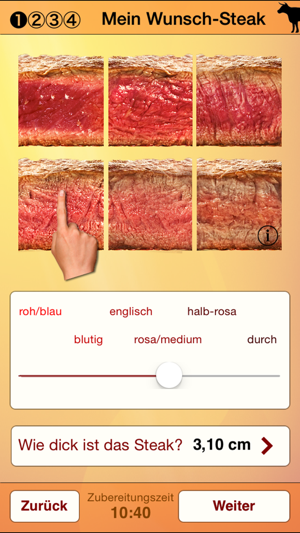 SteakMasteriPhone版