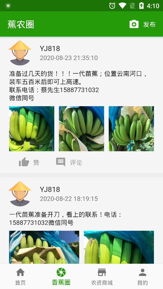 云南香蕉网