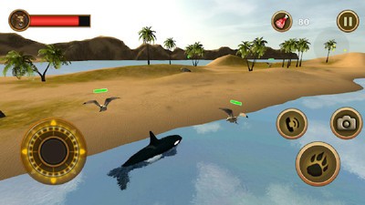 鲸鱼生存模拟器