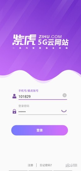 紫虎5G云网站