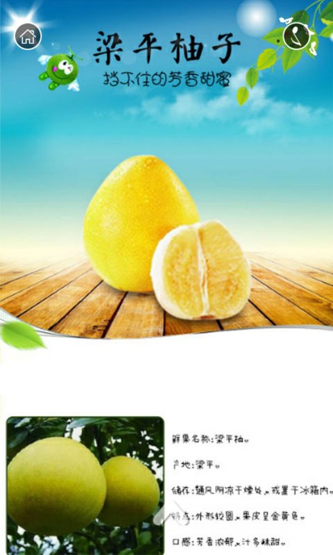 重庆柚产品
