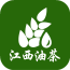 江西油茶行业