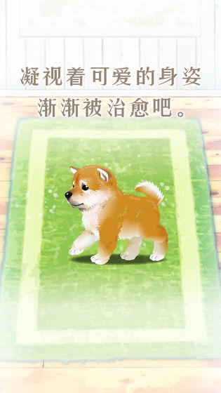 養(yǎng)育柴犬的治愈游戲