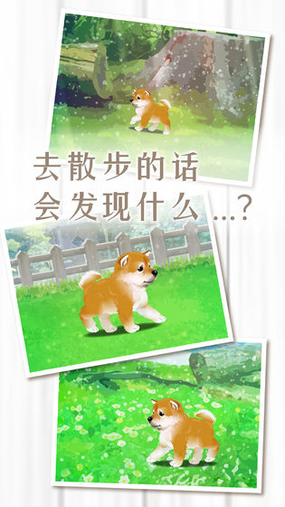 養(yǎng)育柴犬的治愈游戲