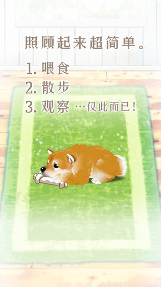 養(yǎng)育柴犬的治愈游戲