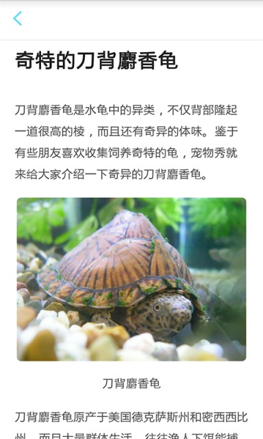 養(yǎng)魚達人