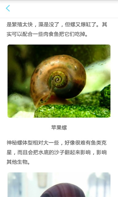 養(yǎng)魚達人