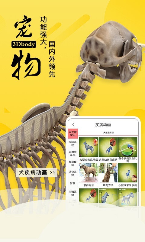 3Dbody寵物