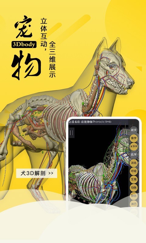 3Dbody寵物