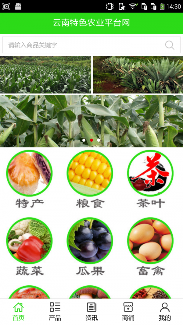 云南特色农业平台网