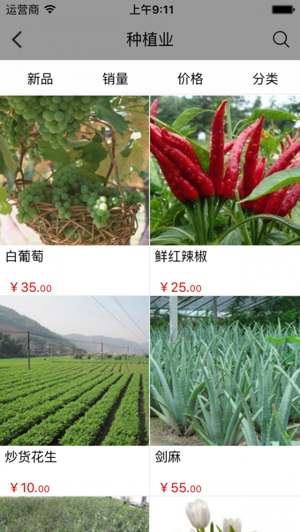 广西农业平台