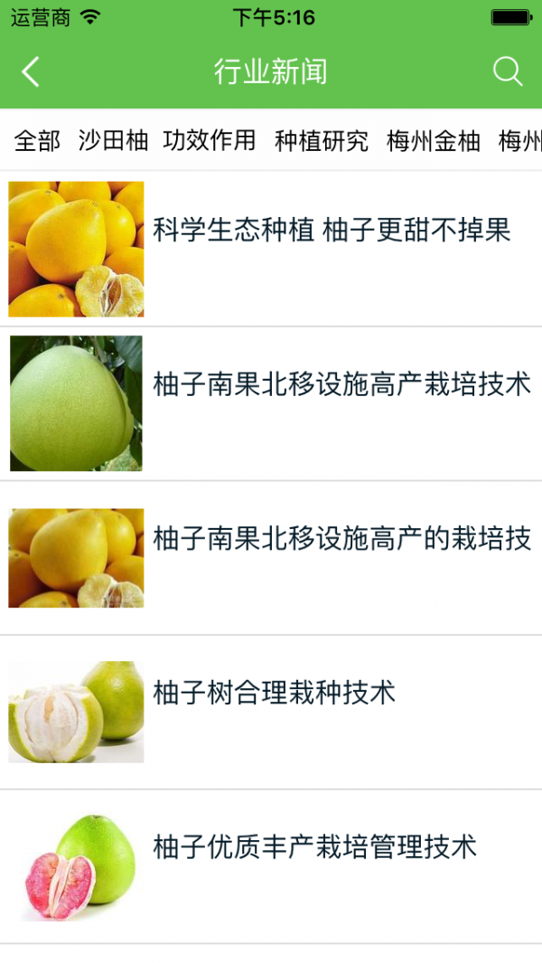 梅州金柚平台
