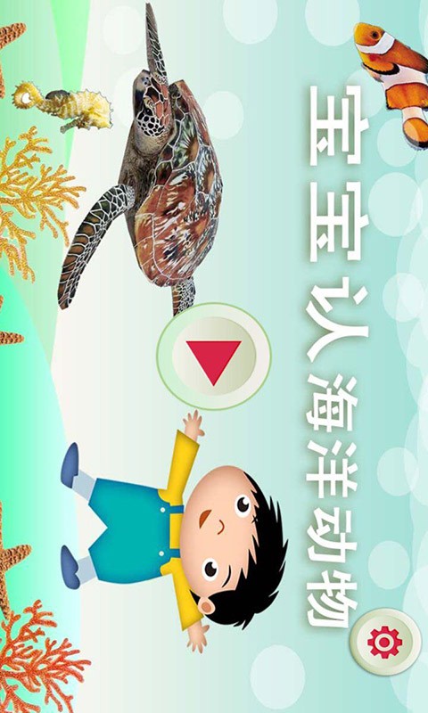 寶寶認(rèn)海洋動物