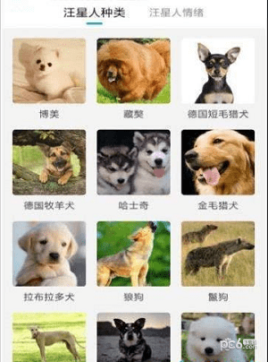 貓狗動物翻譯器