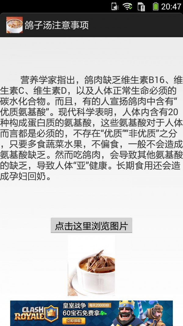 鸽子汤的做法图文