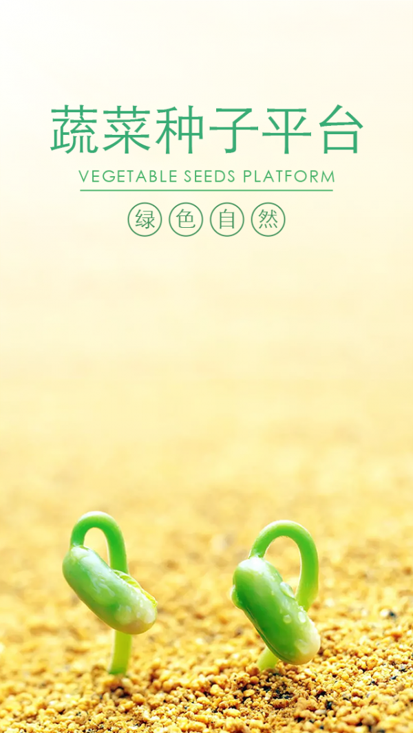 蔬菜种子平台