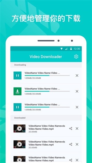 Video Downloader