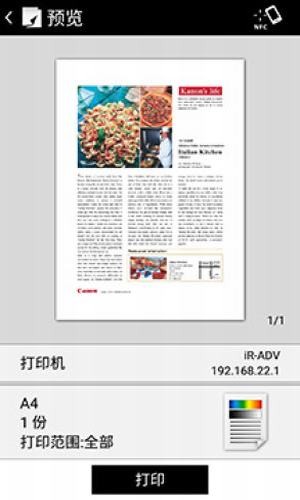 canon print business