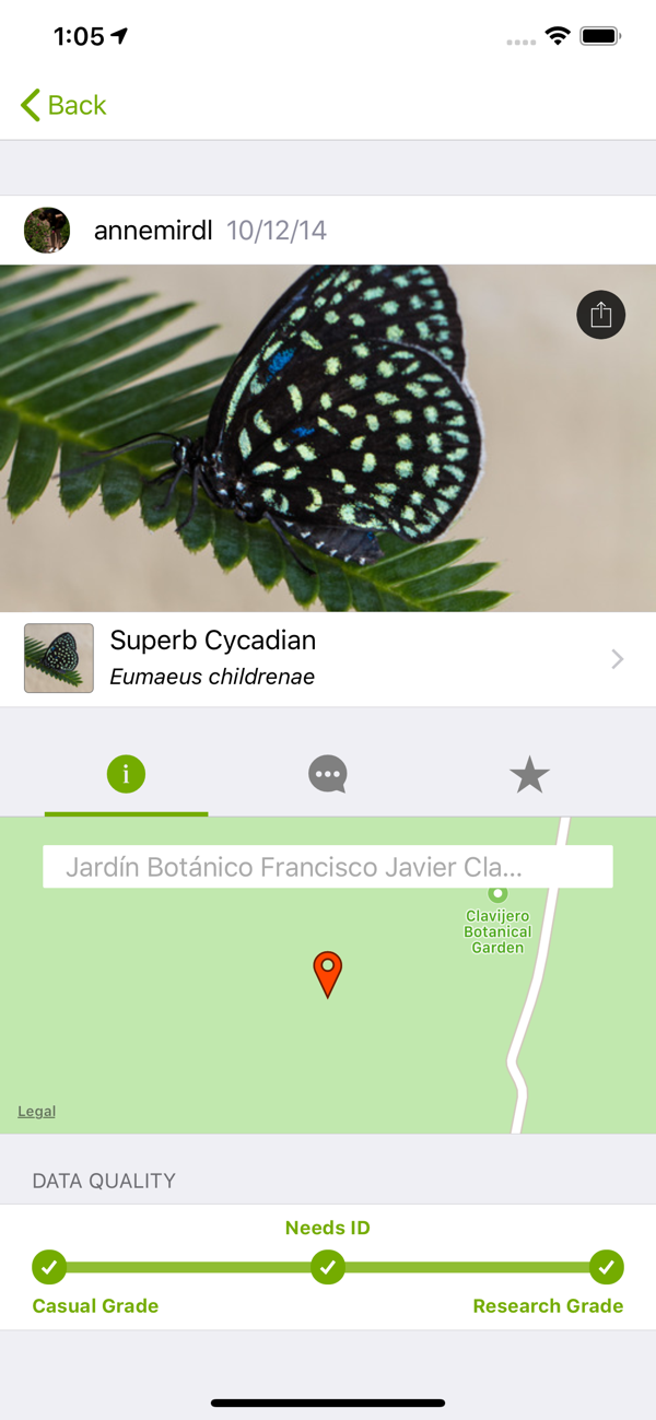 iNaturalist