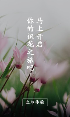 花眼