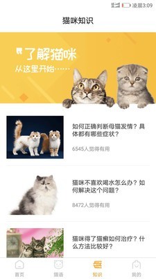 猫咪翻译器