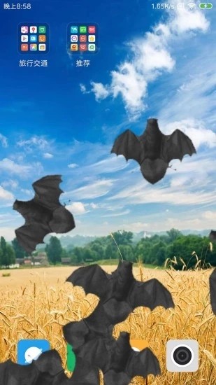 蝙蝠在手机飞行