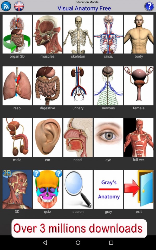 Visual Anatomy