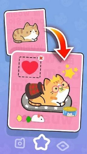 推推貓push push cat