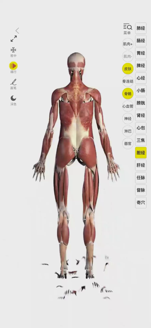 3Dbody解剖‬iPhone版