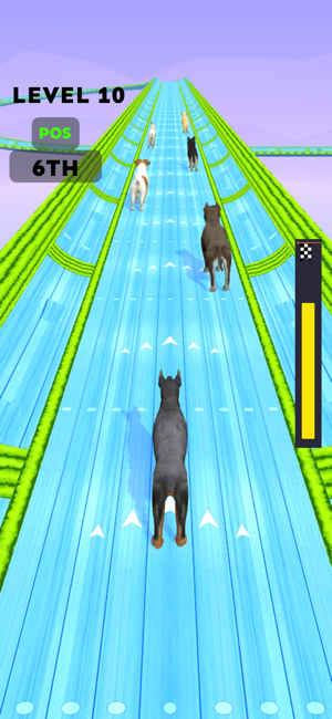 Dog Racing Master: Pet GamesiPhone版