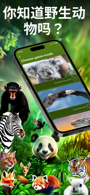 动物园之星iPhone版