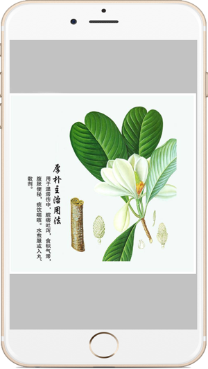 中草药图文宝典iPhone版