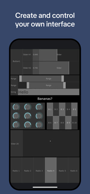 Remote Tools for TouchDesigneriPhone版