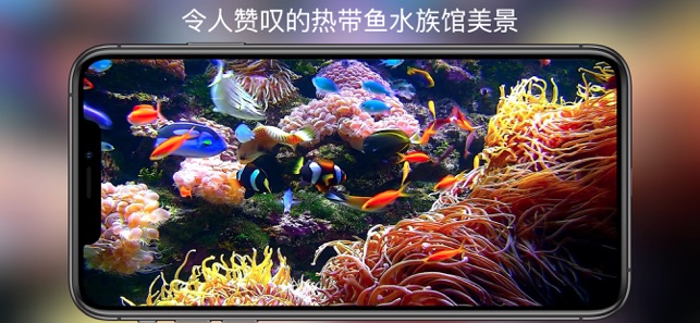 水族馆HD+‬iPhone版